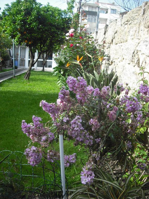 Hotel Mira D'Aire Porto Dış mekan fotoğraf